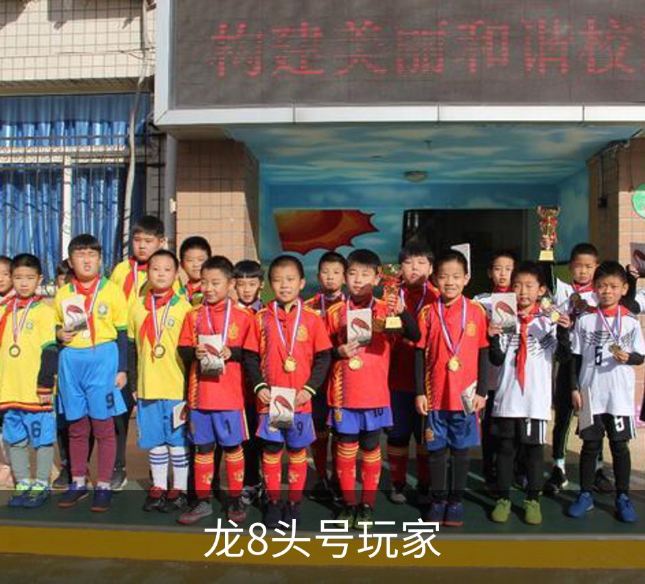 龙8头号玩家介绍
